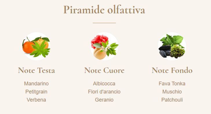 piramide olfattiva flamant rose The Merchant of Venice  profumeria lorenzi paolo sarpi milano 62