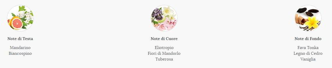 LA FENICE POUR FEMME piramide