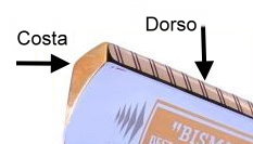 costa e dorso