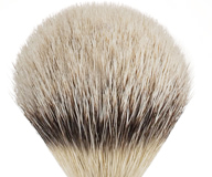 silvertip
